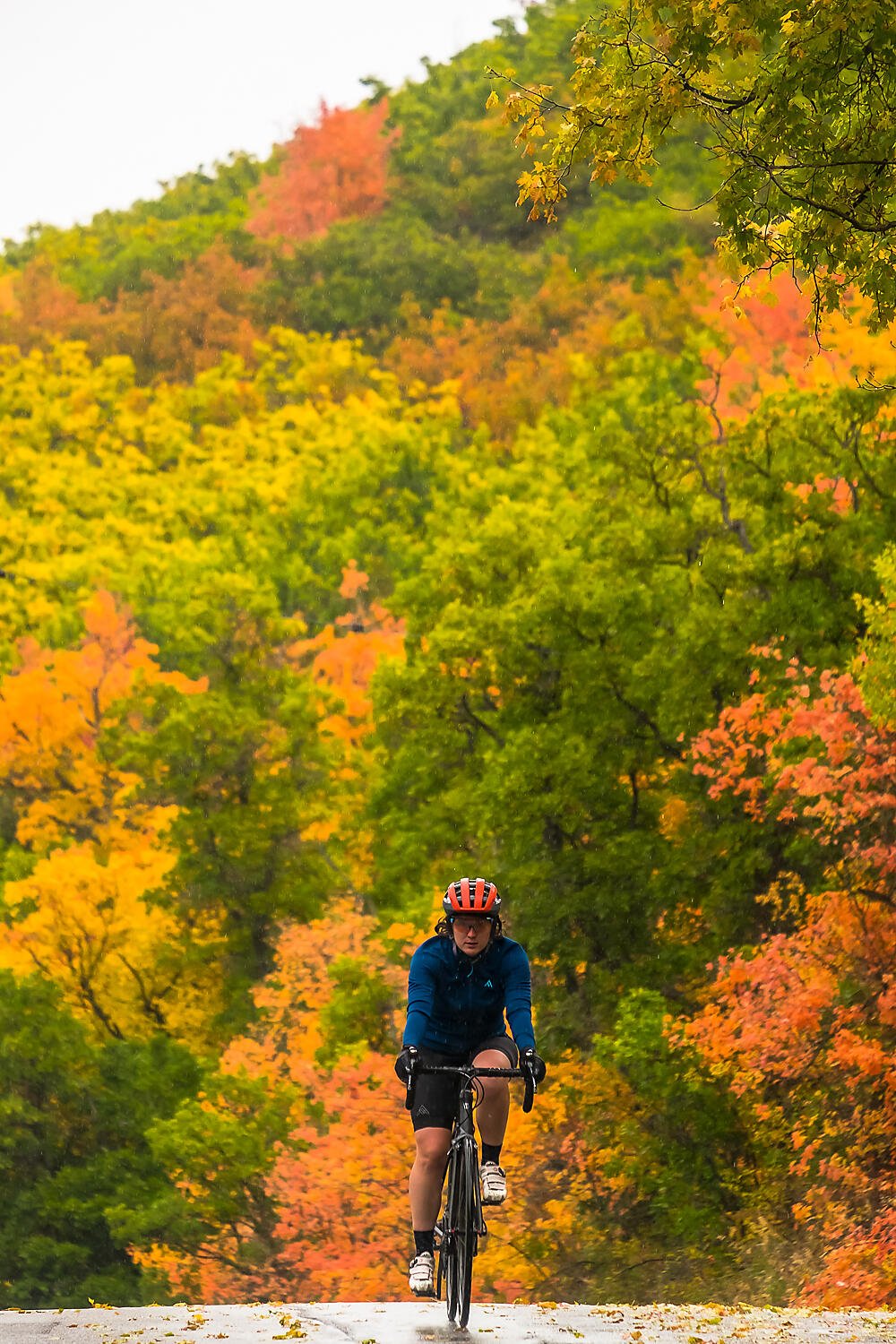 7Mesh Callaghan Merino Jersey W's - Bilde 5