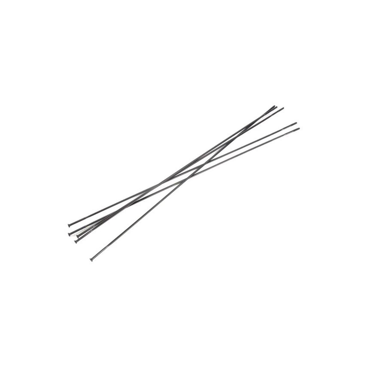 Easton CX RAY 234mm Eike