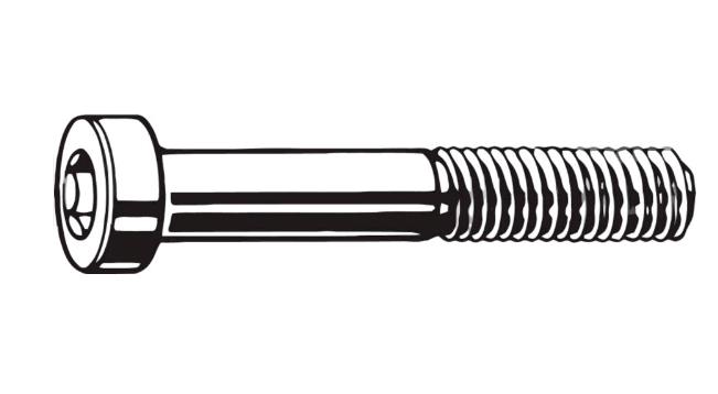 TRP Skrue for FM kalipper Bak 2 Stk – Torx T25, M5 x 22 mm, Flatmount