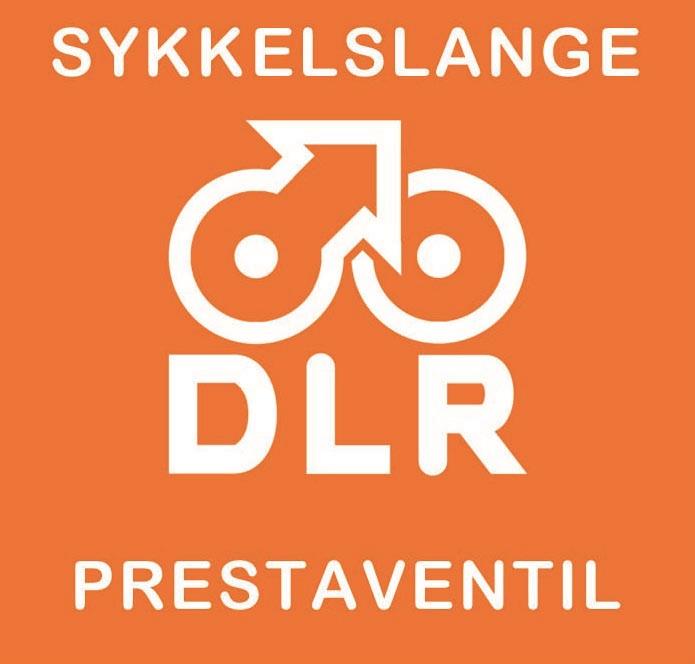 DLR Presta 29" Slange