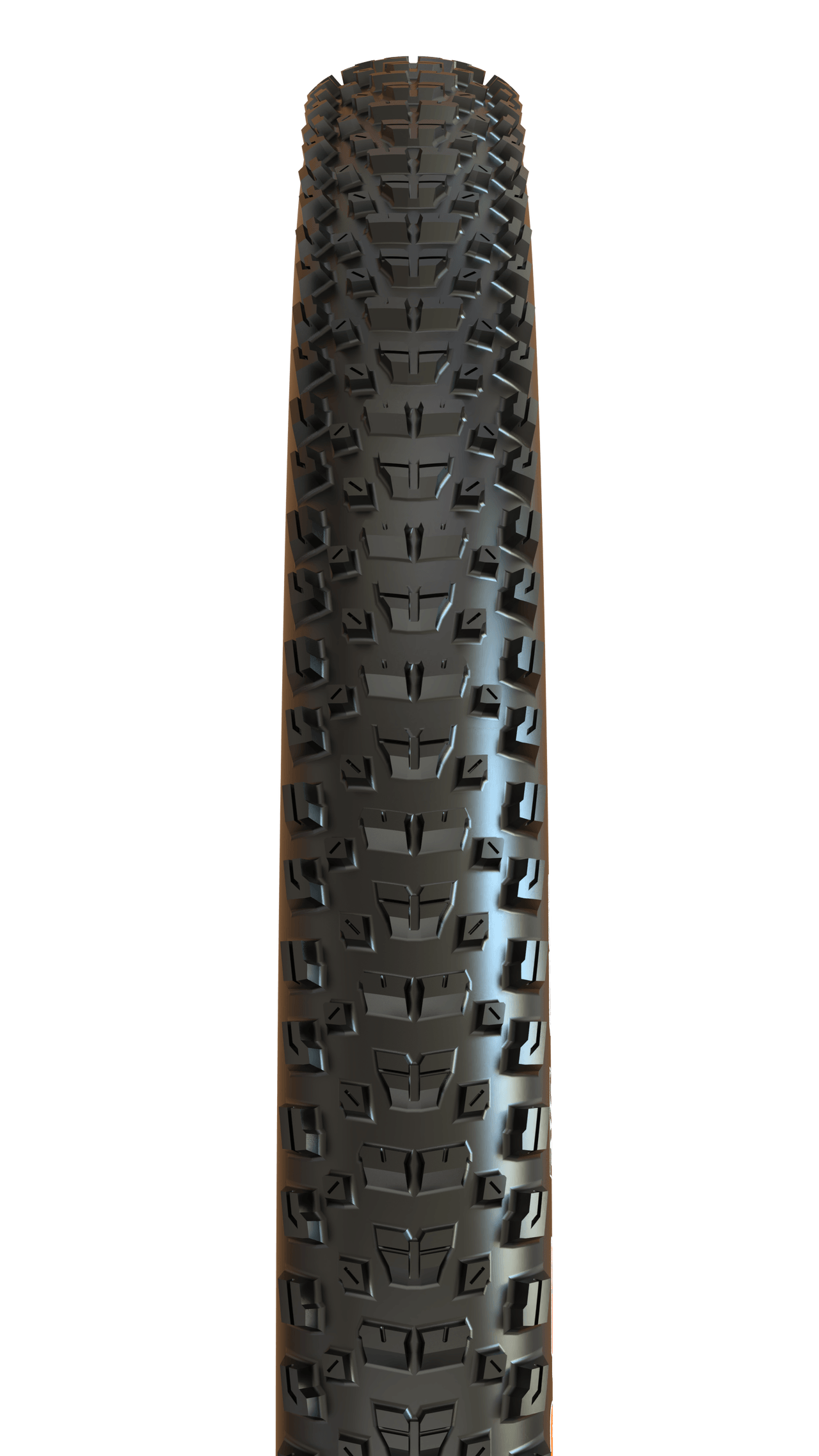 Maxxis Rekon WT TR EXO+ Dekk - Bilde 2
