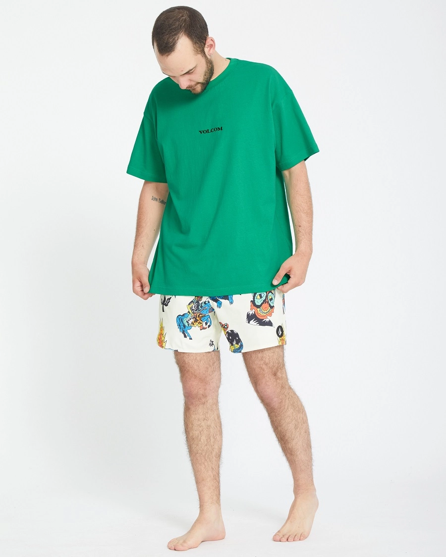 Volcom FA Bob Mollema Trunk 16 - Brun - Bilde 6