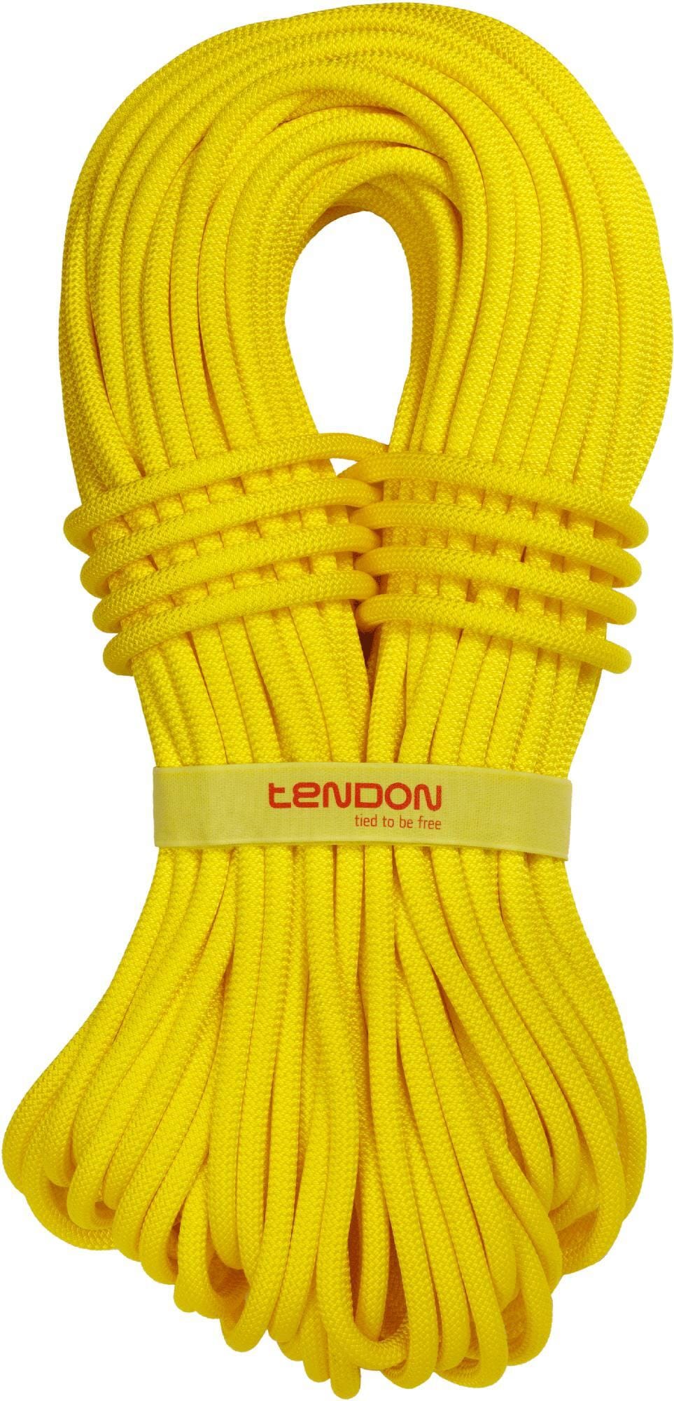 Tendon Ambition 9,8mm CS