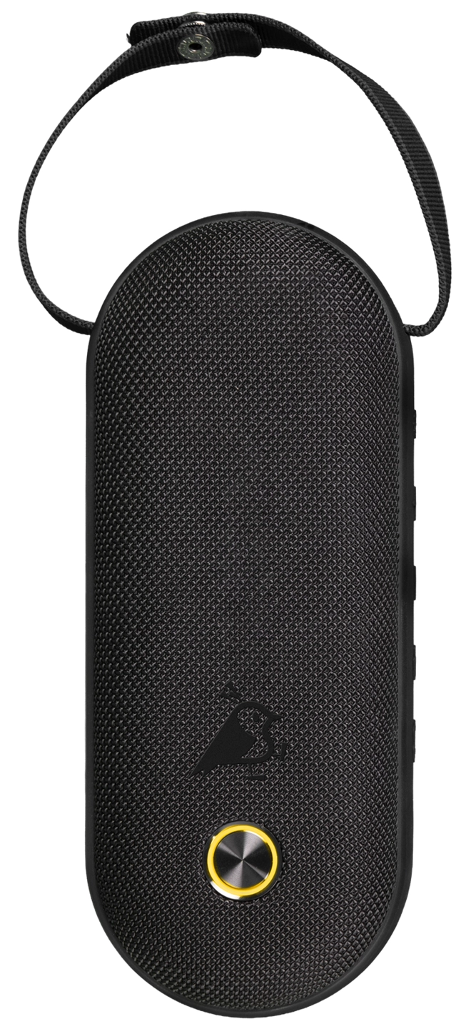 Aqiila Soundbird CM