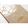Nitro Banker - Flerfarget – Multicolour - Bilde 4