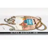 Nitro Beauty - Flerfarget - Bilde 6