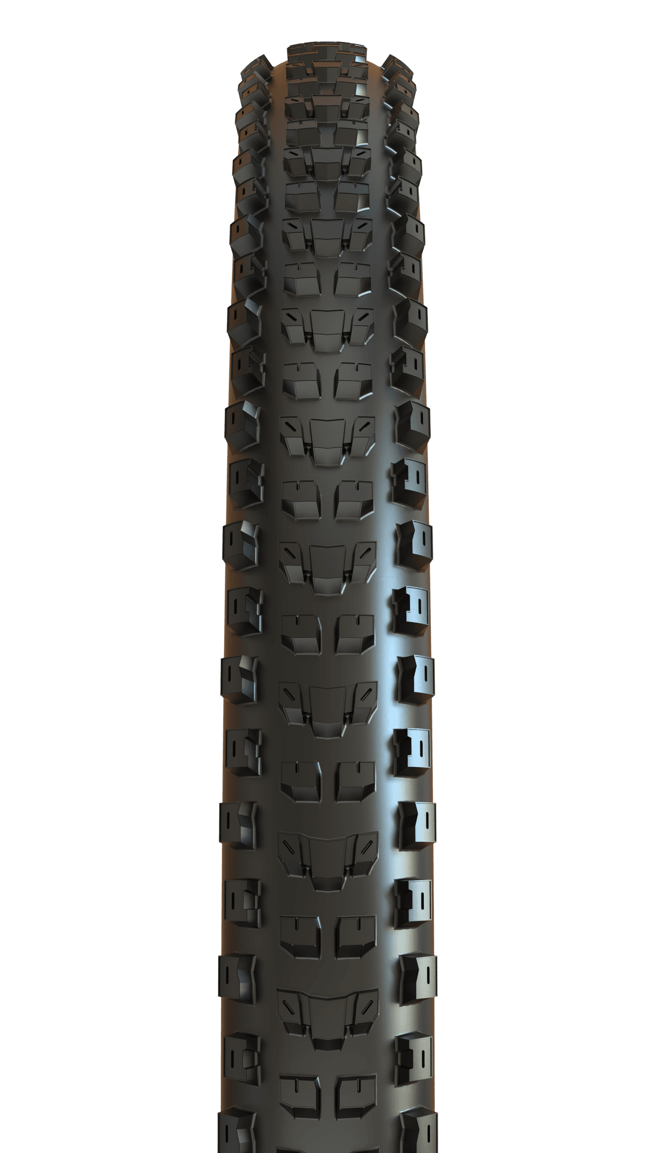Maxxis Dissector TR EXO Dekk - Bilde 2
