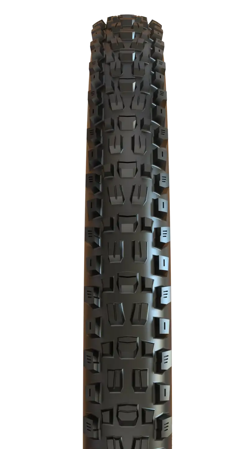 Maxxis Assegai TR EXO+ Dekk - Bilde 2