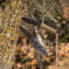 TB Outdoor MARAUDEUR KNIFE  BLACK G10 - Bilde 4