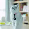 Aqiila Tagbird Bike Bell - Bilde 9