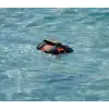 HoverAir Aqua Wetsuit - Bilde 4
