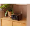 Pure Classic C-D4 – Coffee Brown/Walnut - Bilde 6