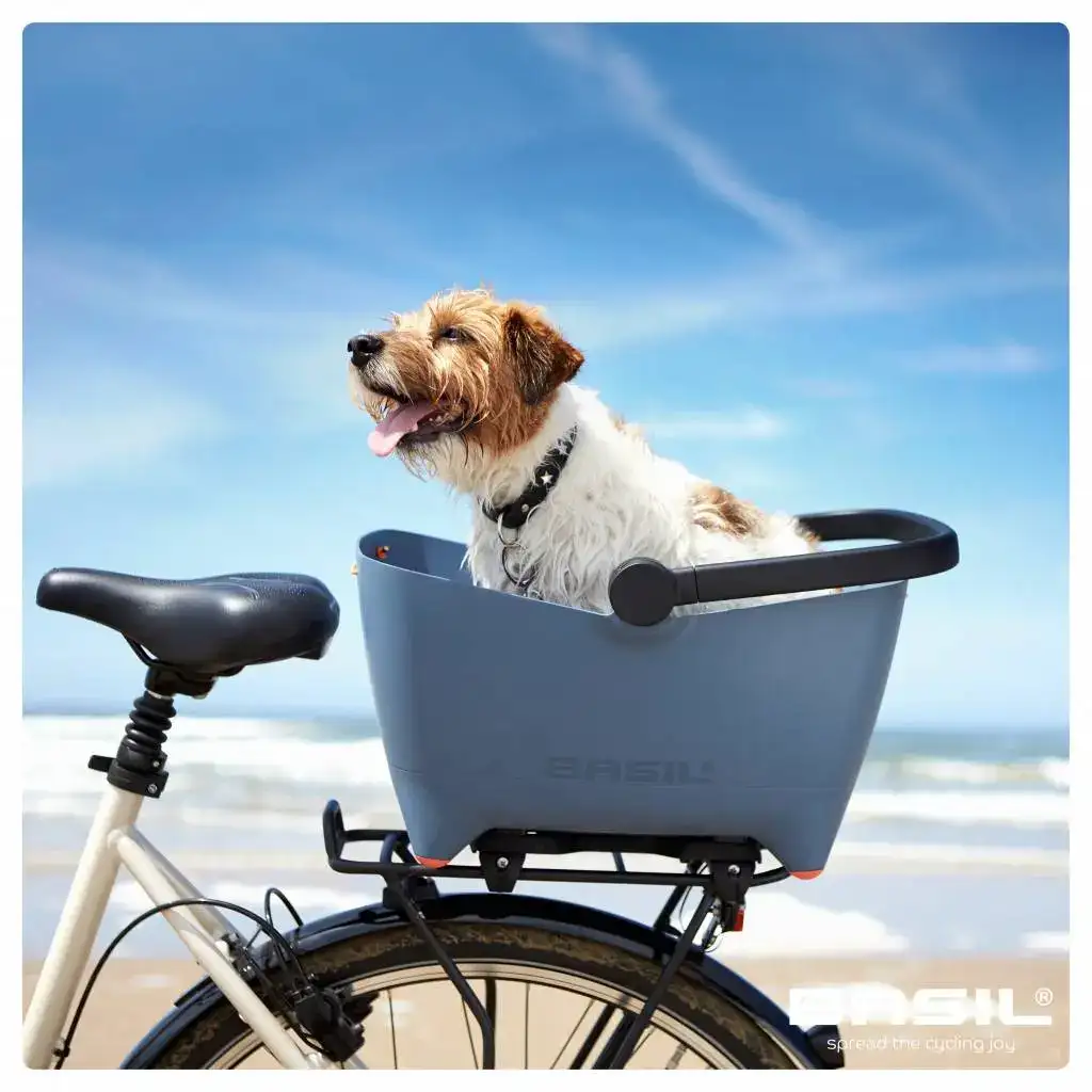 Basil Buddy Dome Bur - Bilde 5